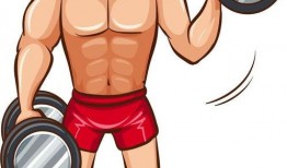 健身动漫,塑造梦想身材的激情之旅