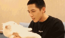 明星吃瓜爆料谭松韵,娱乐圈背后真相曝光